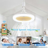 LED Multi-Function Fan Light